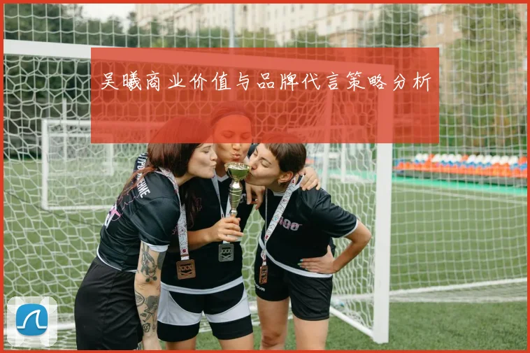 吴曦商业价值与品牌代言策略分析