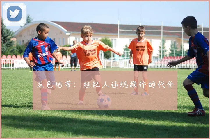 灰色地带：经纪人违规操作的代价