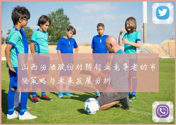 山西汾酒股份对阵行业竞争者的市场策略与未来发展分析