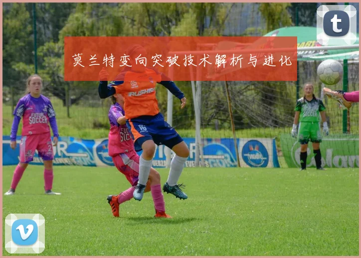 莫兰特变向突破技术解析与进化