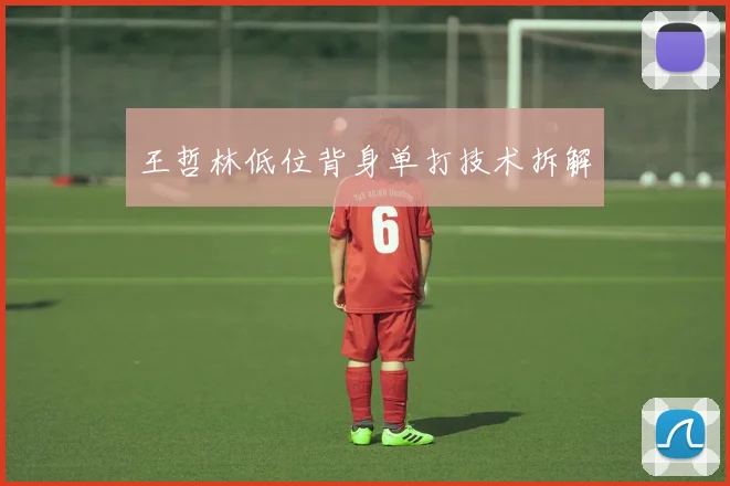 王哲林低位背身单打技术拆解