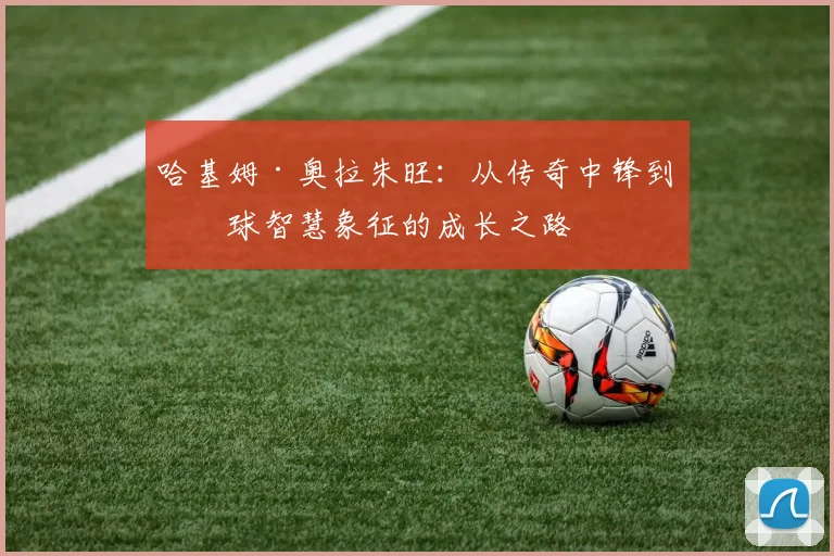 哈基姆·奥拉朱旺：从传奇中锋到篮球智慧象征的成长之路