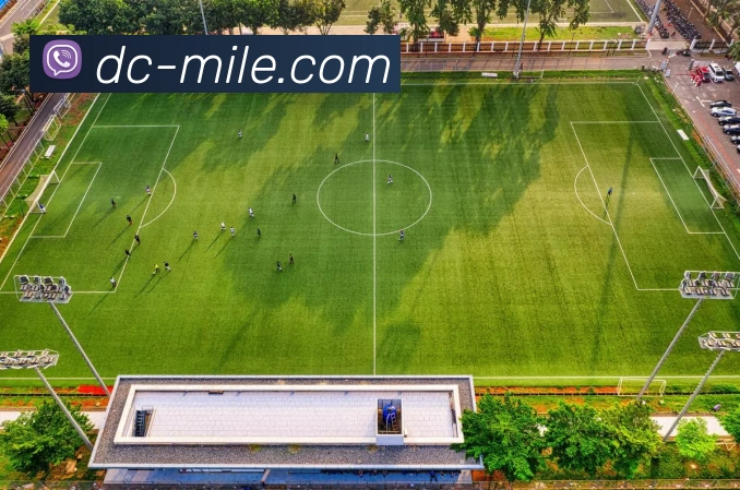 App Interface Preview