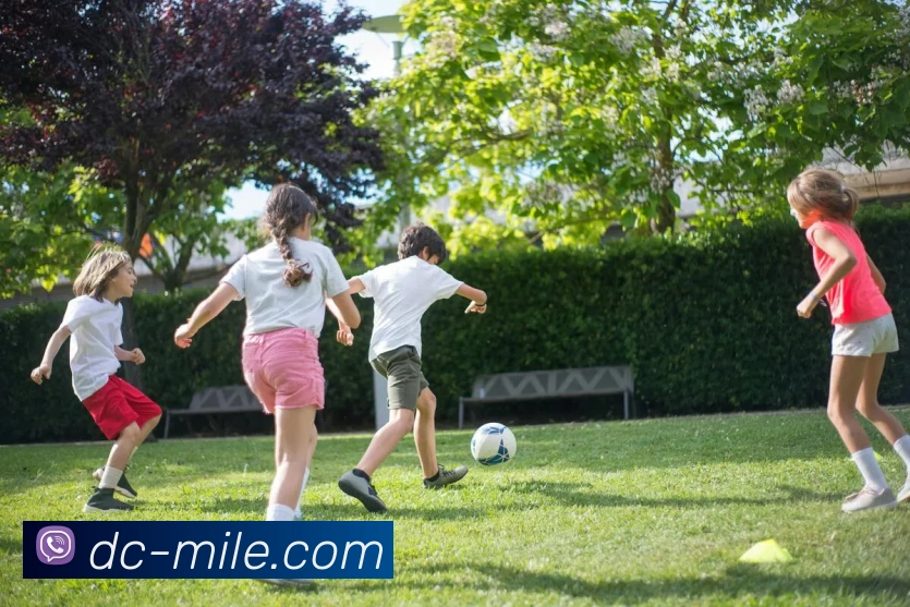 米乐M7APP 高清赛事图